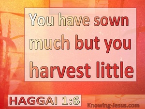 Haggai 1:6